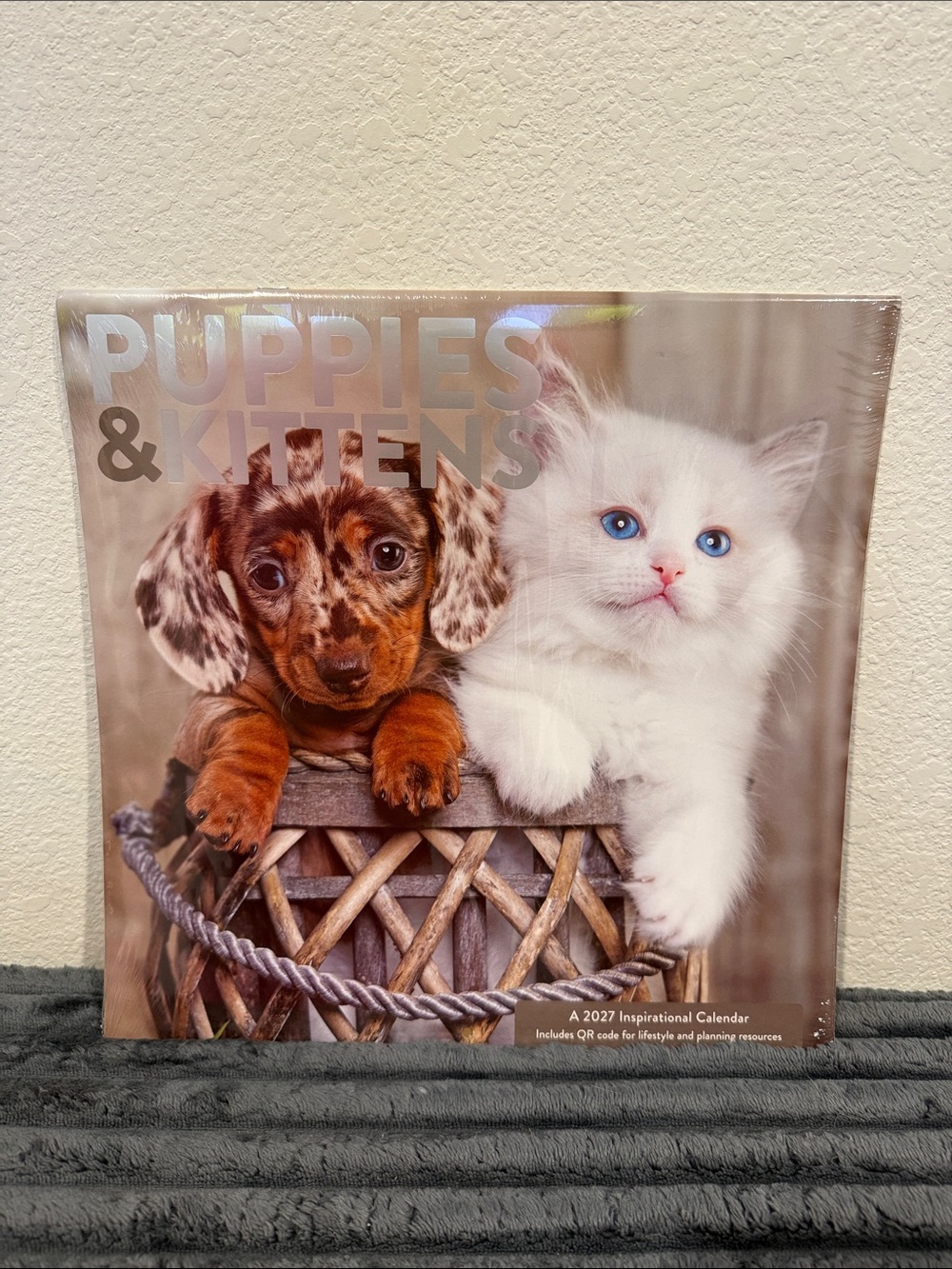 Puppies & Kittens 2027 Inspirational Calendar